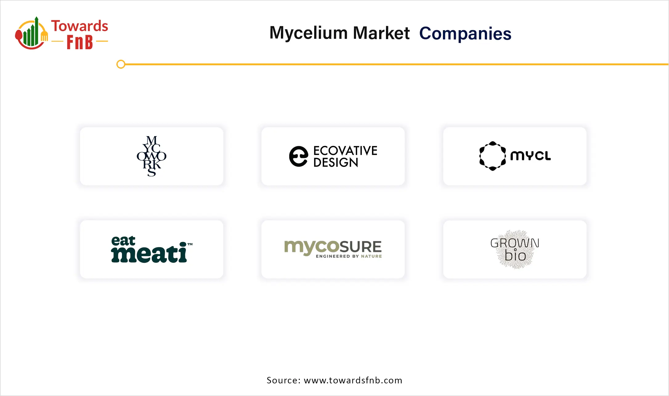Mycelium Market Companies Mycelium Market Companies